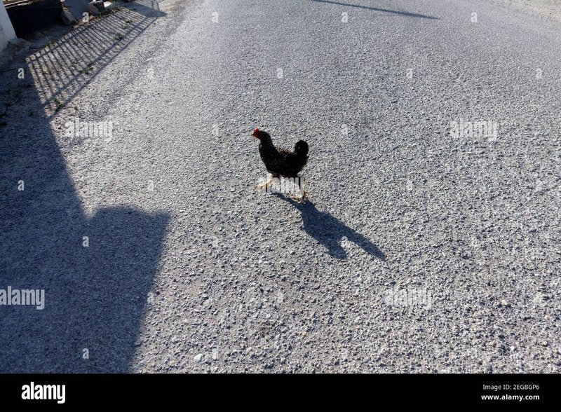 Descubre el Intrincado Mondo del Juego de Azar Chicken Road en España, jugar chicken road